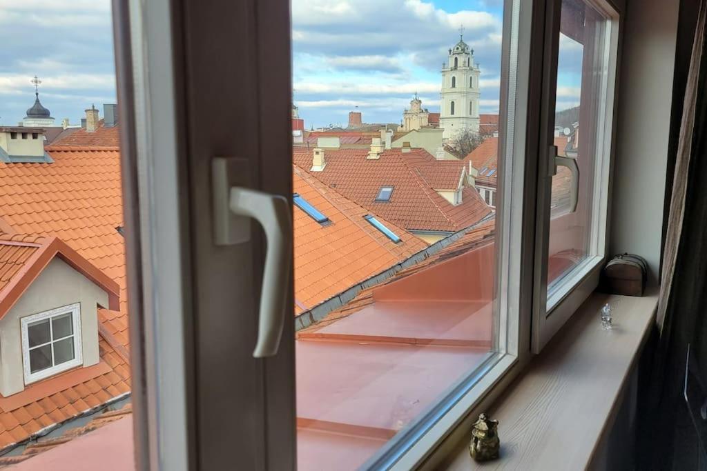 Meshka's Apartment Vilnius
